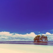 White-Coral-Beach-Sand-And-Azu