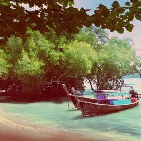 tree-in-water-and-long-boats.jpg