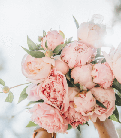Flower Image