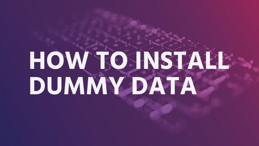 How to install dummy data